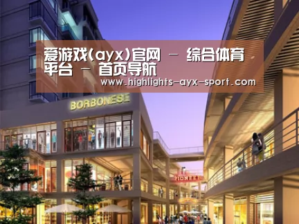 案例展示一(图1)