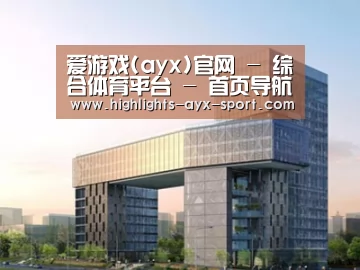 案例展示四