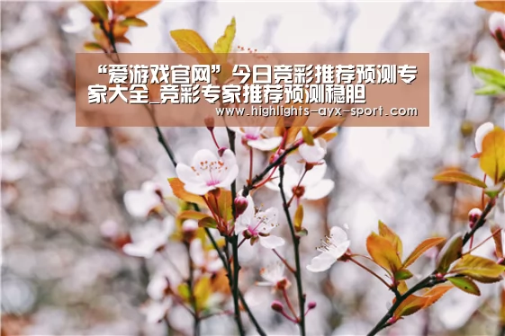 爱游戏首页
