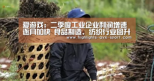 爱游戏官网